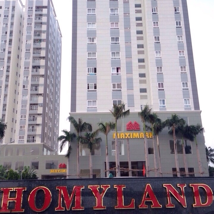 Homyland 2